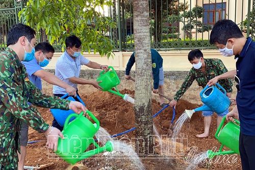 Trồng cây phong trào - nhìn từ cách làm của huyện Mường Ảng