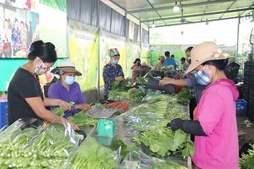 Để nông sản vào siêu thị, cửa hàng tiện lợi
