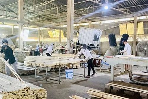Thị xã Quảng Trị tích cực đưa nghị quyết của Đảng vào cuộc sống