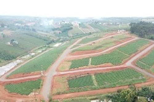 Đình chỉ nhiều cán bộ để làm rõ sai phạm về đất đai