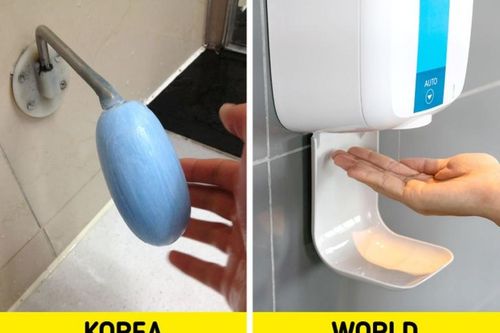 7 sự thật thú vị liên quan đến toilet ở các quốc gia