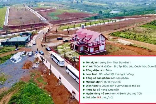 Xẻ đồi thành 1.000 đất nền để bán: Nhiều chỉ đạo quyết liệt ở Lâm Đồng