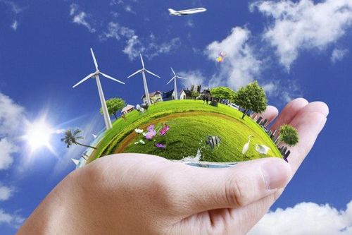 Ngày Môi trường thế giới năm 2021 tập trung vào phục hồi hệ sinh thái