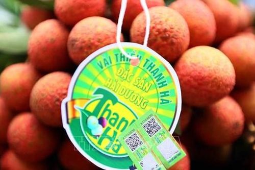 Vải thiều giá 120.000 đồng/kg tại Singapore