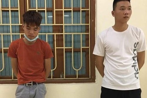 Đi Exciter, trộm chó cảnh trị giá hàng chục triệu đồng