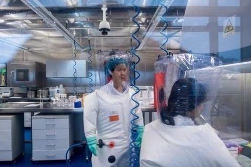 Bác sĩ Fauci kêu gọi Trung Quốc công bố hồ sơ nhà nghiên cứu Vũ Hán
