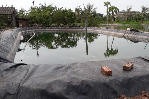Thi thể hai chị em sinh đôi dưới ao