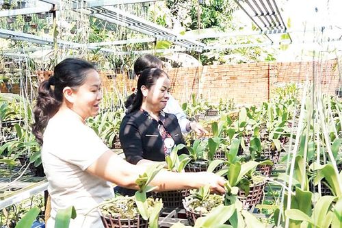 Củ Chi nâng cao chất lượng lao động nông thôn