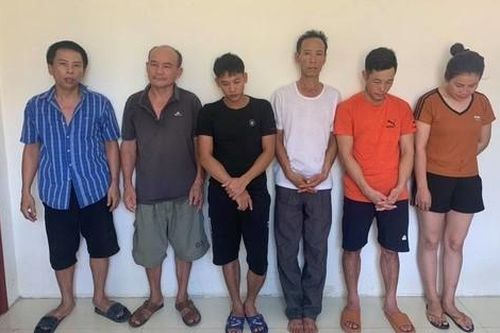 Triệt phá tụ điểm đánh bạc và cung cấp ma túy được cảnh giới tinh vi bằng camera