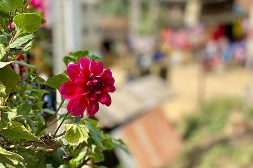 Chồng tôi muốn sinh con phải 'xin phép' người tình
