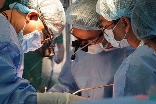 Dùng màng ngoài tim bò thay động mạch chủ cứu sống bệnh nhân