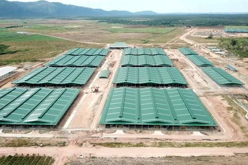 Để mất hàng trăm hecta rừng, nguyên Trưởng ban Quản lý rừng bị truy tố