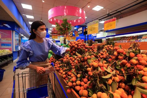 Vải Việt Nam cạnh tranh tốt với Trung Quốc tại thị trường Singapore