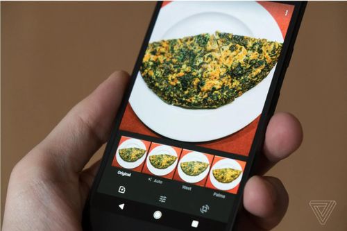 Những dịch vụ lưu trữ ảnh thay thế cho Google Photos (Phần 1)