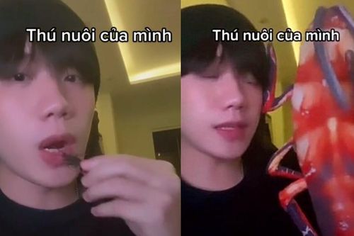 Dân mạng 'nổi da gà' khi chứng kiến TikToker làm clip ăn gián
