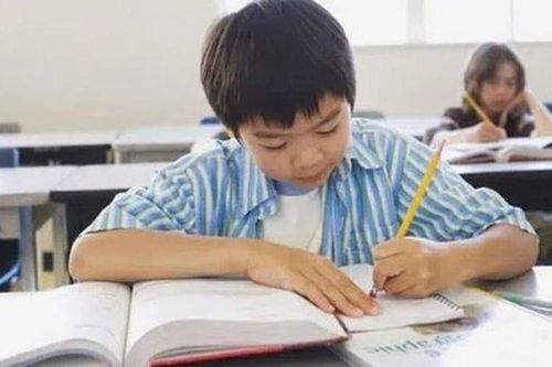 Bài văn bé tả tình yêu của bố mẹ: Tưởng hạnh phúc ngọt ngào ai ngờ 'bóc phốt' siêu thực
