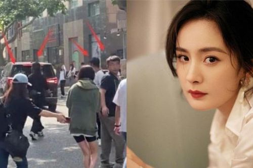 Bắt 7 trợ lý phục vụ, Dương Mịch bị mắng khi chặn xe qua đường