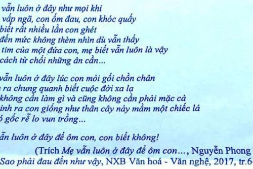 Phỏng vấn tác giả bài thơ 'Mẹ vẫn ở đây để ôm con…'