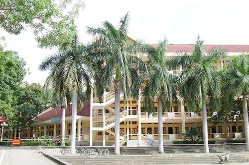 275 mẫu xét nghiệm vi rút SARS-CoV-2 có kết quả âm tính