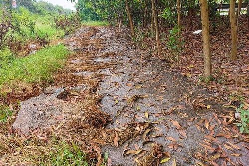 Tái diễn tình trạng đổ trộm phân bùn bể phốt trên Đại lộ Thăng Long