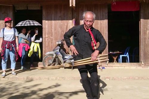 Cây khèn ở cao nguyên trắng