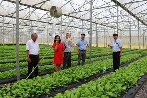 Những cánh đồng được 'gieo' tri thức và công nghệ