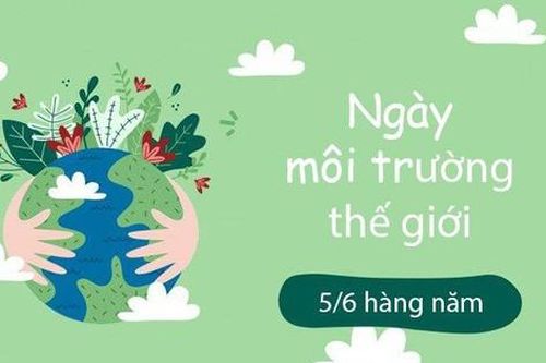 Bạn biết gì về Ngày Môi trường Thế giới?