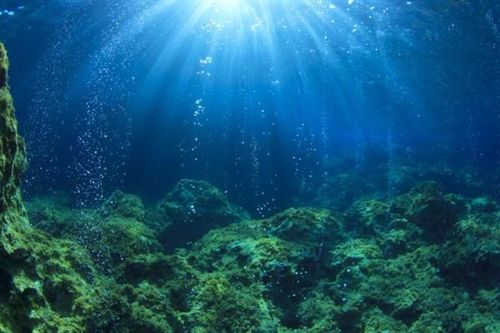 Sự sống có thể bắt nguồn từ núi lửa dưới đại dương