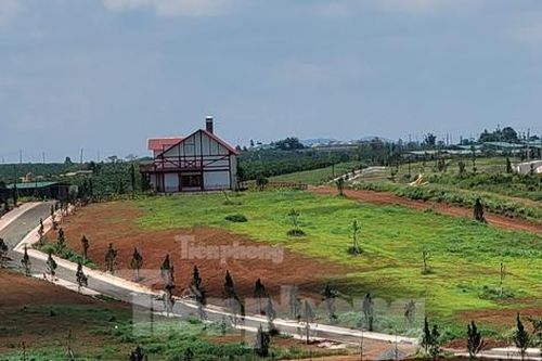 Cận cảnh loạt dự án phân lô bán nền khiến 3 cán bộ ở Lâm Đồng bị đình chỉ công tác