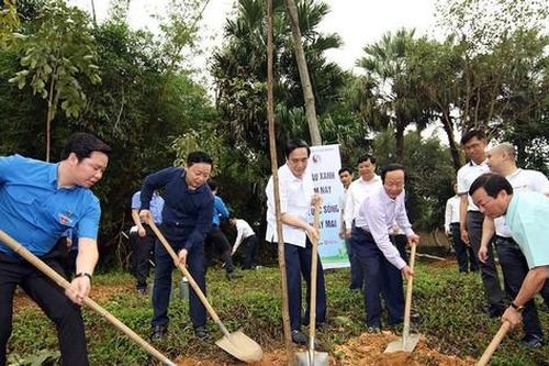 Bộ Tài nguyên và Môi trường kêu gọi các địa phương phục hồi hệ sinh thái