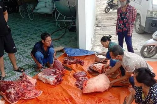 Người đàn ông Nghệ An mổ lợn làm món ăn gửi hỗ trợ Bắc Giang