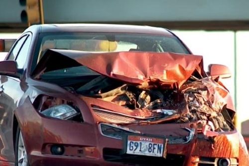 Bố mẹ ngủ say, bé gái 9 tuổi lái ô tô để đi biển ngắm cá heo