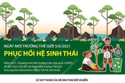 Ngày Môi trường Thế giới 5/6/2021: Phục hồi hệ sinh thái