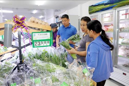 'Giấy thông hành' cho sản phẩm nông nghiệp sạch Nam Định