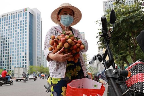 Bán bằng giá tại vườn, vải Lục Ngạn được người dân Hà Nội nhiệt tình ủng hộ