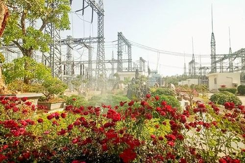 Hưởng ứng ngày môi trường thế giới năm 2021: Trạm biến áp 'công viên'