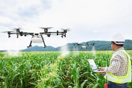 Sử dụng drone trong sản xuất nông nghiệp: Người nông dân mới chỉ thấy cái lợi trước mắt