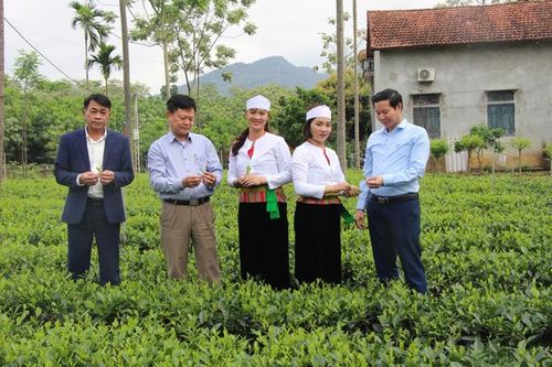 Sản xuất sạch, nông dân nâng thu nhập