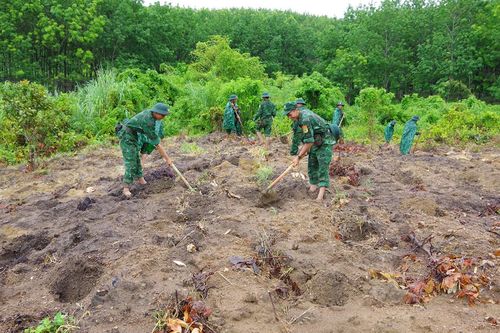 Bộ Chỉ huy Bộ đội Biên phòng tỉnh Gia Lai: Trồng hơn 5.000 cây keo lai