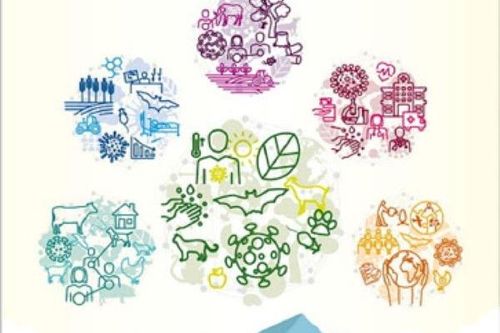 Phục hồi hệ sinh thái bảo vệ môi trường