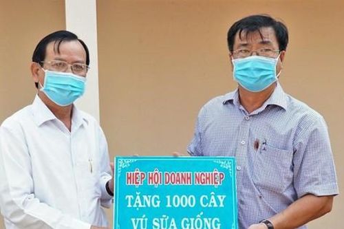Hiệp Hội doanh nghiệp tỉnh Cà Mau trao tặng 1.000 cây vú sữa giống