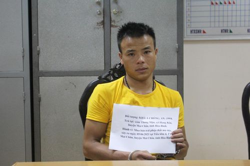 Hòa Bình: Bắt đối tượng truy nã vận chuyển 2 bánh heroin và gần 6.000 viên ma túy tổng hợp