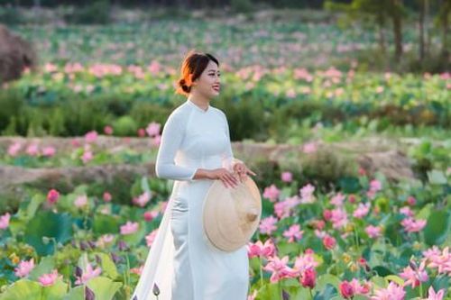 Đẹp mê hồn cánh đồng sen nổi tiếng xứ Quảng