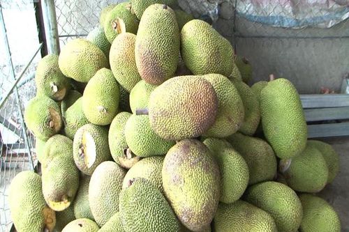 Một tháng 5 lần giảm giá, mít Thái chất đống rẻ chưa từng có