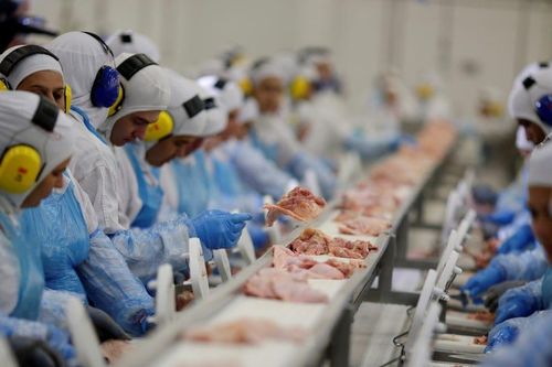 Tin tặc - mối đe dọa mới nhất đối với nguồn cung thực phẩm toàn cầu