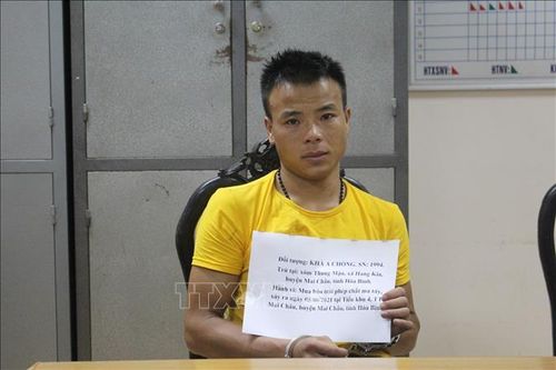 Bắt giữ đối tượng vận chuyển chất ma túy đang bị truy nã