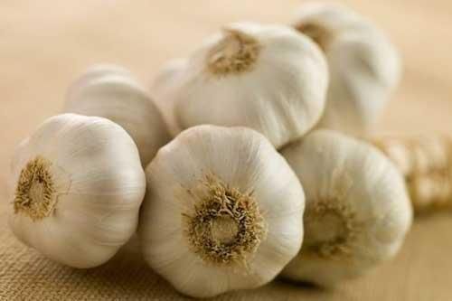 Vì sao mua tỏi về không nên đặt trong tủ lạnh?
