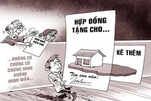 'Bảo bối' giúp cụ ông phản kèo lấy lại tài sản đã tặng vợ chồng con trai