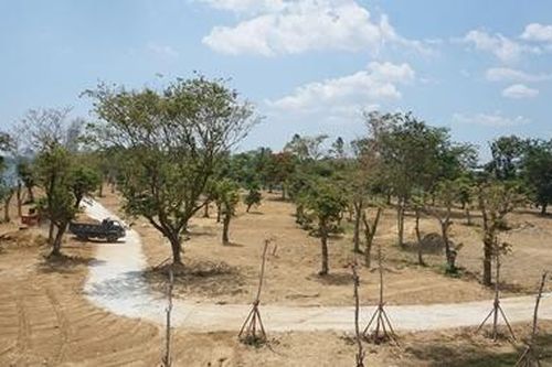Xây dựng công viên ở cồn Dã Viên trên sông Hương