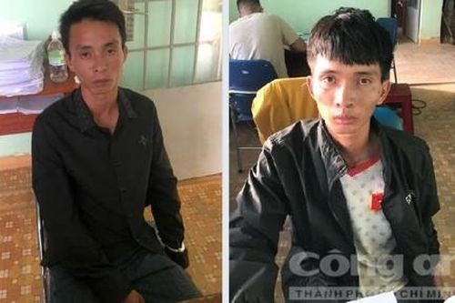 Lâm Đồng: Phục kích bắt anh em ruột chuyên trộm bò ngoại của dân